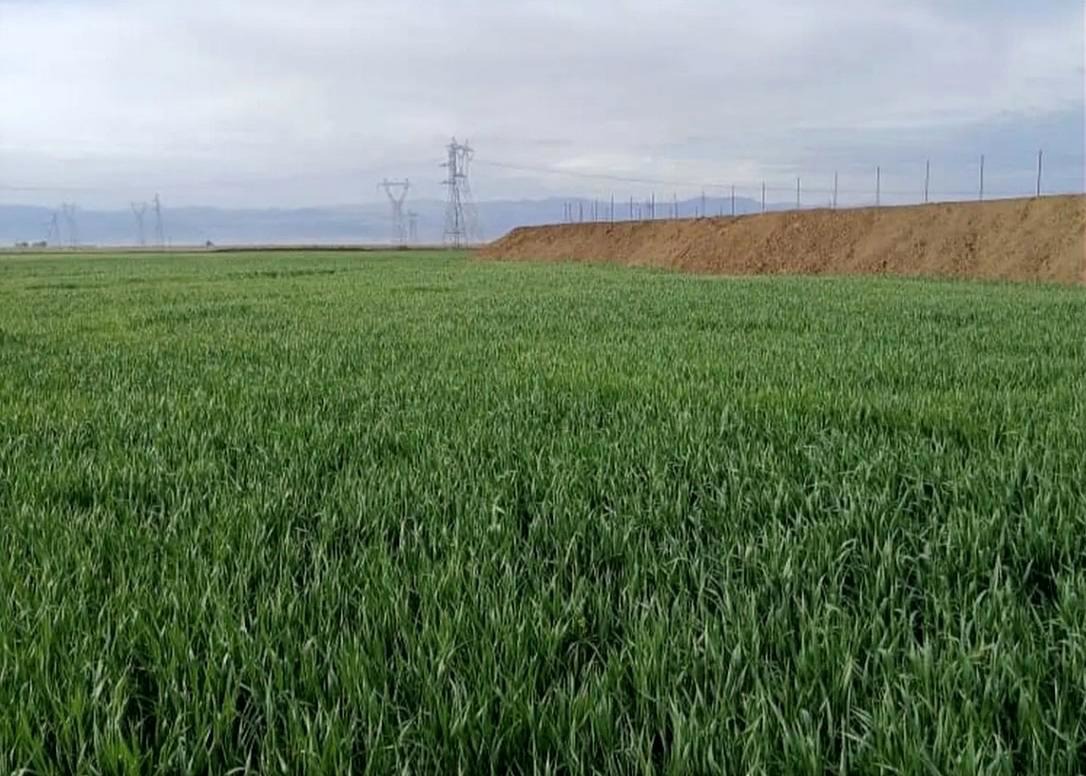 Vue aérienne du domaine agricole